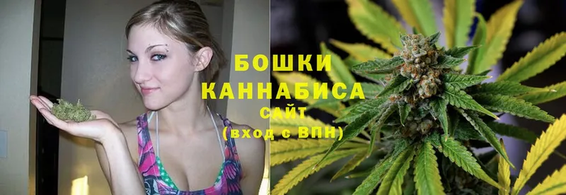 Марихуана Bruce Banner  Новосиль 